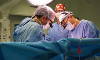 bergamo trapianto organi