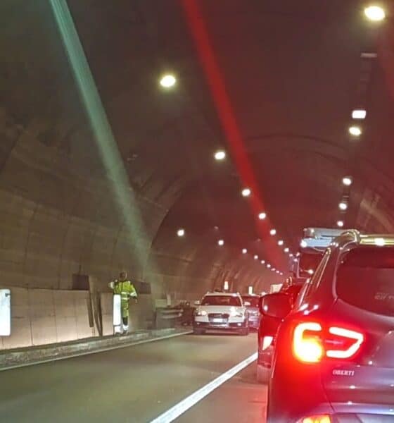 tampomento montenegrone