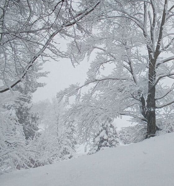 neve cavlera 19 febbraio 2026