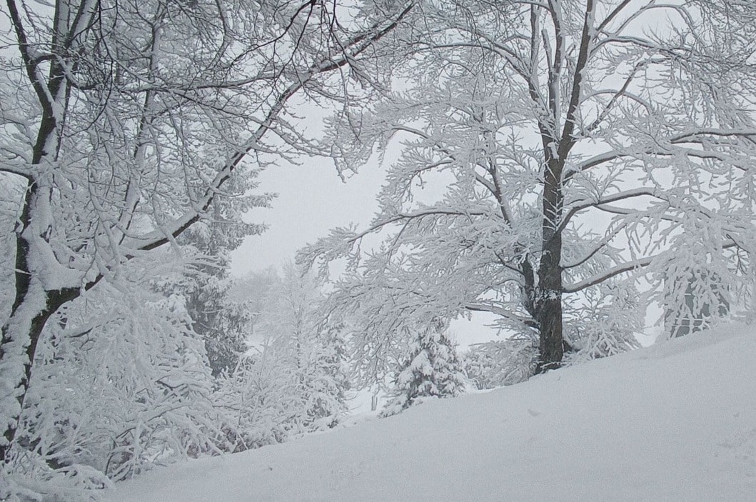 neve cavlera 19 febbraio 2026