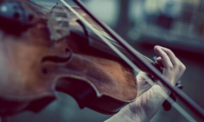 Violinista (© Depositphotos)
