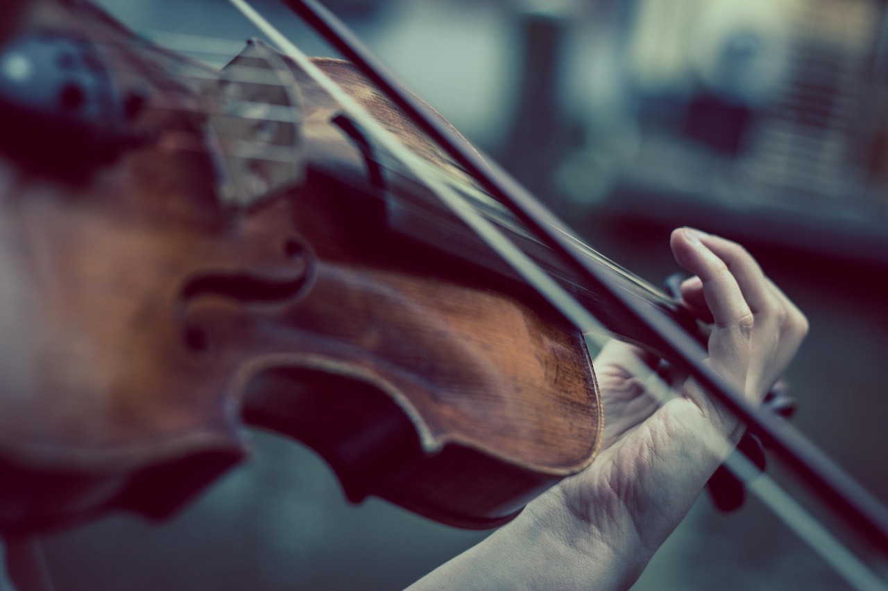 Violinista (© Depositphotos)