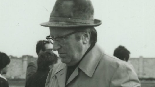 giuseppe brolis