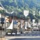palio contrade casnigo