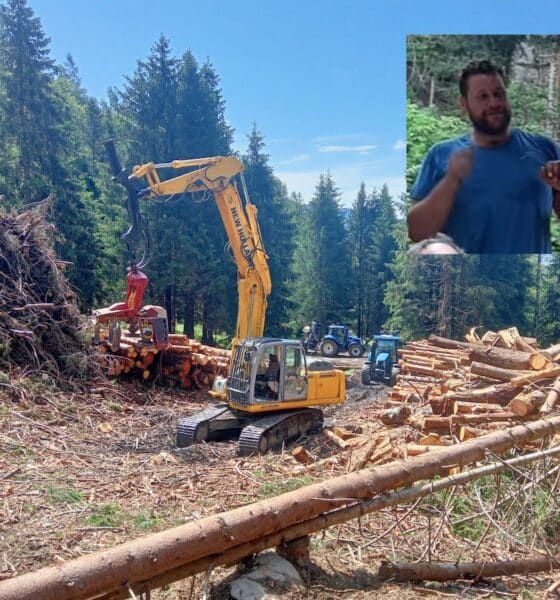mattia baronchelli forestal villa dogna malore muore 40 anni