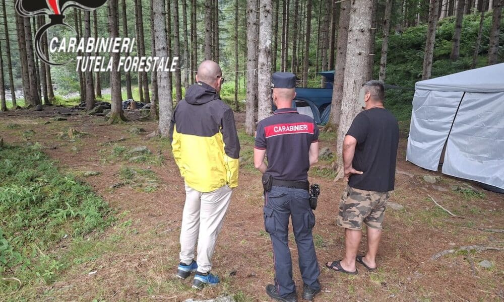 carabinieri forestali