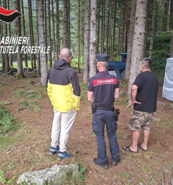 carabinieri forestali