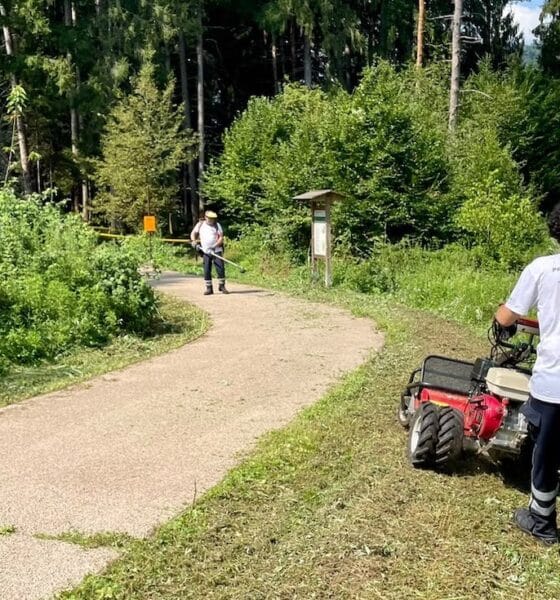 clusone volontariato pineta