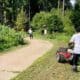 clusone volontariato pineta