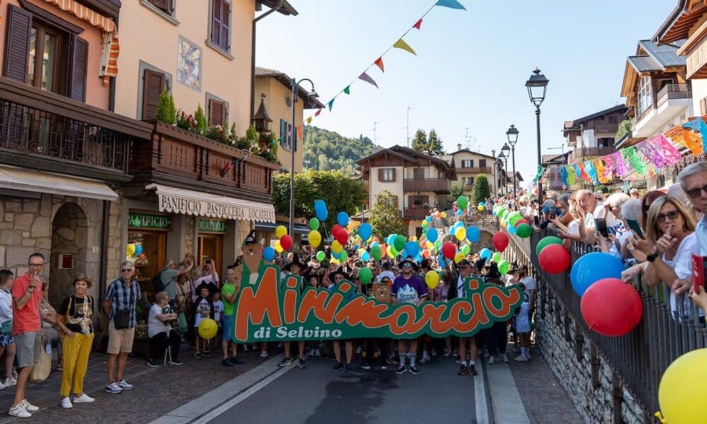 minimarcia estate 2026