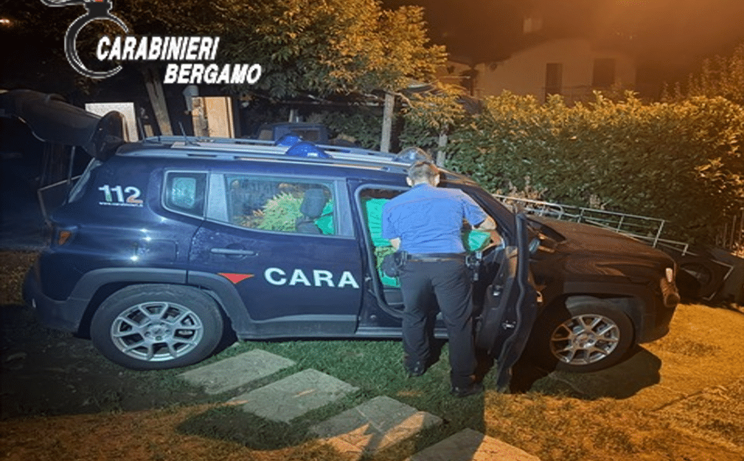 Albino denuncia per droga foto 1