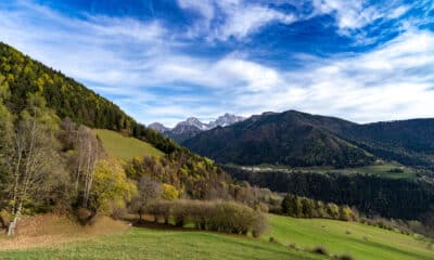 VIa Decia